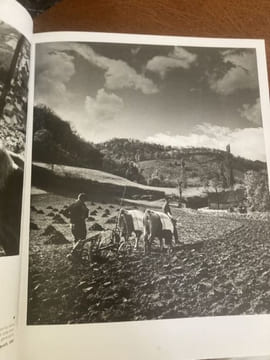 PAYS BASQUE au tournant d'un siècle . DIEUZAIDE Jean - LAXALY Txomin - [Pays Basque]