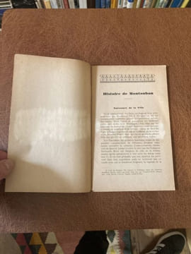 Histoire de Montauban et de ses cantons. MALRIEU Jean - [Tarn et Garonne]