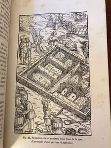 LE SEL. Illustré de 49 vignettes sur bois