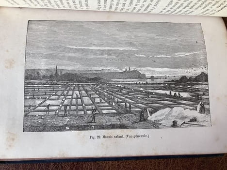 LE SEL. Illustré de 49 vignettes sur bois. LEFEBVRE Eugène - [Bibliothèque des Merveilles] 