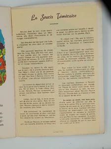 Sagutxo ausarta : Sagü txipi atrebitia