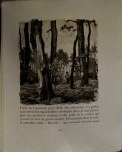 Genitrix. Eaux-fortes originales de Raoul Serres. Préface de l'auteur.