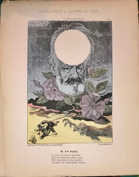 Fleurs, fruits et légumes du jour par Alfred Le Petit. Légendes de H. Briollet. 1871 par Alfred Le Petit. LE PETIT Alfred.