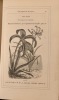 Botanique de ma fille revue et complétée par J. Macé. Illustré par Lallemand.. NERAUD Jules.