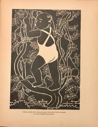 Les mésaventures du Teddy de Jean-Pierre. Dessins de Alan.