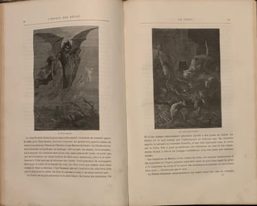 L'esprit des bêtes par A. Toussenel. Illustré par Emile Girardin.