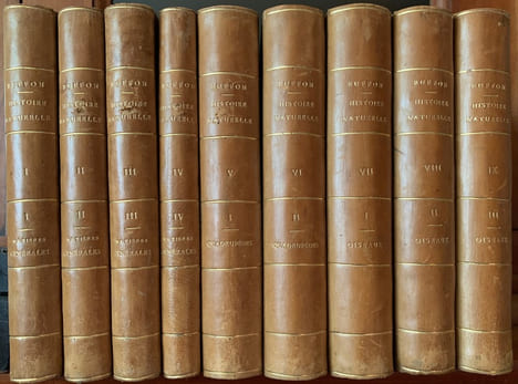 Les Œuvres complètes de Buffon avec les Supplémens, augmentées de la classification de G. Cuvier et accompagnées de 700 vignettes gravées sur acier ...