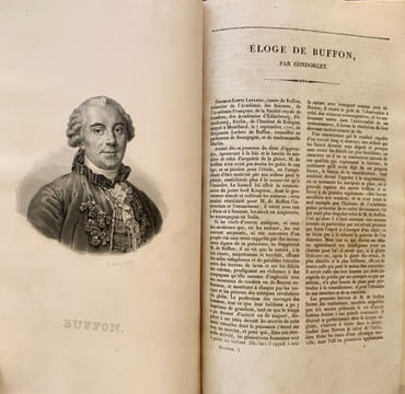 Les Œuvres complètes de Buffon avec les Supplémens, augmentées de la classification de G. Cuvier et accompagnées de 700 vignettes gravées sur acier ...