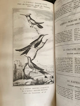 Les Œuvres complètes de Buffon avec les Supplémens, augmentées de la classification de G. Cuvier et accompagnées de 700 vignettes gravées sur acier ...