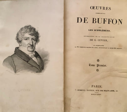 Les Œuvres complètes de Buffon avec les Supplémens, augmentées de la classification de G. Cuvier et accompagnées de 700 vignettes gravées sur acier ...