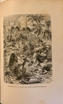 Le Robinson noir. Ouvrage orné de 72 dessins gravés sur bois par M. Meaulle ; d'après les compositions de MM. H. Scott, Meyer, Ferdinandus, etc.. ...