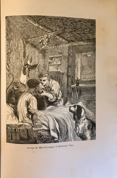 Le Robinson noir. Ouvrage orné de 72 dessins gravés sur bois par M. Meaulle ; d'après les compositions de MM. H. Scott, Meyer, Ferdinandus, etc.. ...