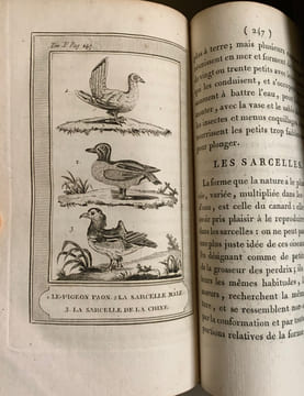 Le Buffon de la jeunesse, ou Abrégé de l'histoire naturelle; ouvrage élémentaire …orné de 57 planches. Quatrième édition corrigée et augmentée.. ...