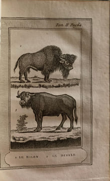 Le Buffon de la jeunesse, ou Abrégé de l'histoire naturelle; ouvrage élémentaire …orné de 57 planches. Quatrième édition corrigée et augmentée.. ...