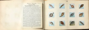 Atlas-Manuel zoologique. Le régne animal représenté d'après nature.. HAGELBERG , W.