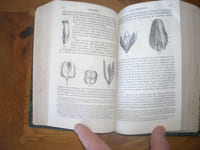 Cours élémentaire d'histoire naturelle-BOTANIQUE-sixième édition. Ouvrage contenant 812 figures.
Paris. Victor Masson-Langlois et Leclercq. 1855