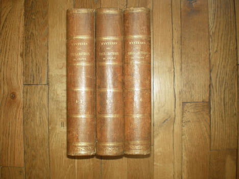 Mystères des vieux châteaux de France ou amours secrètes des rois et des reines, des princes et des princesses, ainsi que des grands personnages du ...
