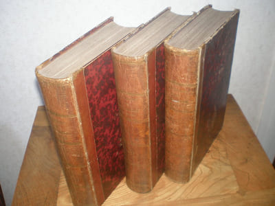 Mystères des vieux châteaux de France ou amours secrètes des rois et des reines, des princes et des princesses, ainsi que des grands personnages du temps. Aventures mystérieuses, scènes dramatiques, faits merveilleux, apparitions, revenants, fantômes, etc.
Par une société d'archivistes.
Tome premier(2,3,4,5 et 6)

Paris. Eugène et Victor Penaud Frères. (1846-48)