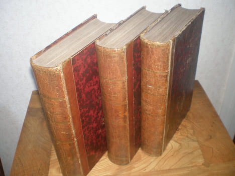 Mystères des vieux châteaux de France ou amours secrètes des rois et des reines, des princes et des princesses, ainsi que des grands personnages du ...