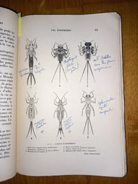 LES MOUCHES DU PÊCHEUR DE TRUITES.
Etude Imitation Emploi.
Préface de Tony Burnand.
Dessins de Louis Laffin.
Librairies de Champs-Élysées. 1951.