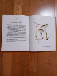 Atlas mycologique I. LES PSALLIOTES.
48 planches coloriées d'après les aquarelles de l'auteur. 9 planches noires.
Éditions Paul Lechevalier. Paris. 1964.