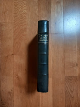 Essai Historique sur la Ville et Châtellenie de LA FERTÉ- VILLENEUIL.
Châteaudun. Librairie Louis Pouillier. 1902.. AUGIS l'abbé J. 
Curé de La ...