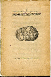 Quelques monuments de la sculpture funéraire des XVe et XVIe siècles - Extraits des procès-verbaux de la Société nationale des antiquaires de France