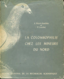 La colombophilie chez les mineurs du Nord