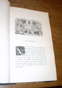 La Peau De Chagrin. Etudes Sociales