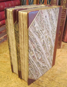 Messieurs les Cosaques. Relation charivarique, comique et Surtout Véridique des hauts faits des russes en Orient, par MM. Taxile Delord, Clément Caraguel et Louis Huart. 100 Vignettes par Cham