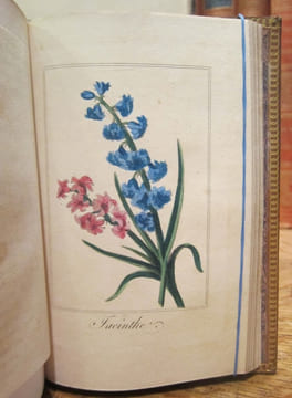 Guirlande de Flore. MALO (Charles)