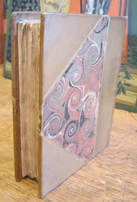 Journal d'un officier malgré lui par Théo-Chritt