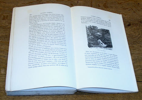 Dans la Forêt de Thuringe. Voyage d'étude. HUMBERT (Edouard)