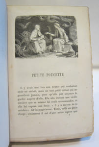 Histoire de Valdemar Daae. Petite Poucette, Grand Claus et Petit Claus, Les Cygnes sauvages, etc. Illustrations de Yan' Dargent