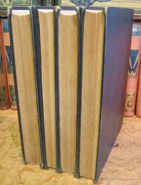 Encyclopédie anarchiste. undefined