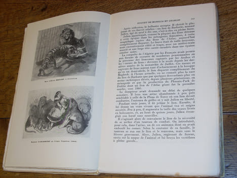 Les Dompteurs ou la Ménagerie des origines à nos jours. Illustré de nombreuses gravures et de photographies inédites. THETARD (Henry)