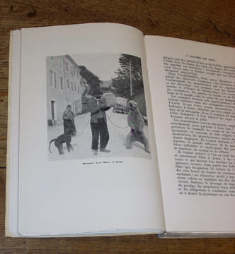 Les Dompteurs ou la Ménagerie des origines à nos jours. Illustré de nombreuses gravures et de photographies inédites. THETARD (Henry)