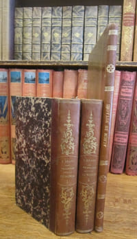 Promenade autour du monde (pendant les années de 1817, 1818, 1819 et 1820, sur les corvettes du Roi l'Uranie et la Physicienne, commandées par M. Freycinet)