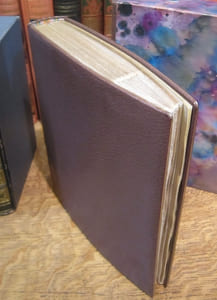 Ariel ou la vie de Shelley. Illustrations de Ferdinand Fargeot.