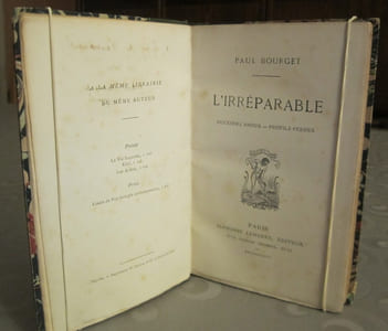 L'Irréparable. Deuxième amour. Profils perdus