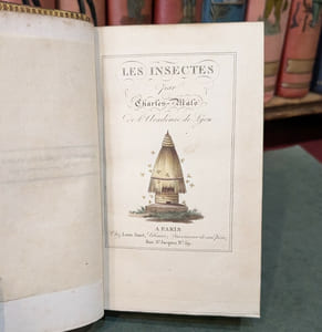 Les Insectes