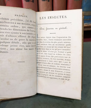Les Insectes. MALO (Charles)