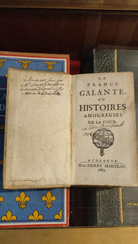 La France galante ou Histoires amoureuses de la cour