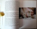 La manufacture de porcelaine de Mennecy Villeroy - avant-propos de Jean-Jacuqes ROBERT - Editions Amatteis 1988. Nicole DUCHON