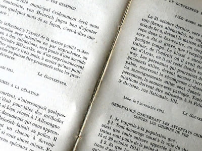 Lille sous la griffe allemande - Tous les arrêtés municipaux, toutes les proclamations et affiches de l'autorité allemande du 24 août 1914 au 1er décembre 1915 suivis d'un Etat Chronologique des faits principaux et de l'état civil de Lille - Librairie académique Perrin et Cie 1917