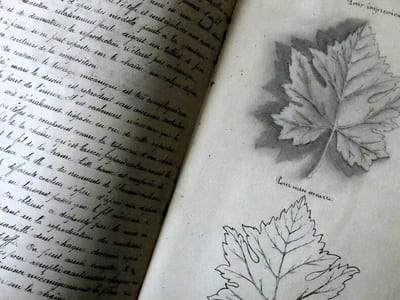 Technologie du dessin appliqué au tissage - Etude sur les principaux "styles"