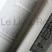 Les mémoriaux d'Antoine de Succa - recueil de dessins artistiques concernant les Pays-Bas et particulièrement la Ville de Lille - Paris Typographie de E. Plon, Nourrit et Cie 1888