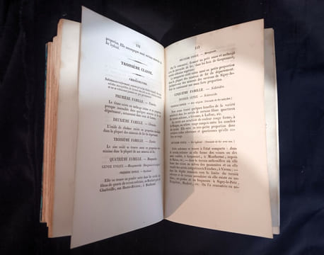 Statistique minéralogique et géologique du département des Ardennes
Mézières, Trécourt, imprimeur 1842. C SAUVAGE - A BUVIGNIER