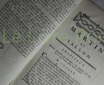 Martin au sallon. Observations, avis et critiques sur les ouvrages exposés au sallon de Lille. A Montmartre 1782