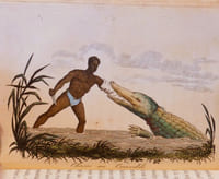 L'AFRIQUE, OU, HISTOIRE, MOEURS, USAGES ET COUTUMES DES AFRICAINS - LE SENEGAL
Paris, Nepveu, libraire 1814